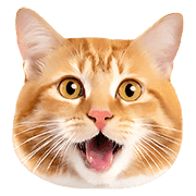 อิโมจิไลน์ Orange tabby cats Face Emoji