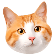 อิโมจิไลน์ Orange tabby cats Face Emoji