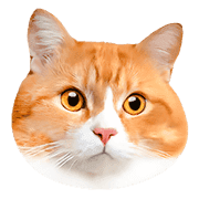 อิโมจิไลน์ Orange tabby cats Face Emoji