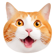 อิโมจิไลน์ Orange tabby cats Face Emoji