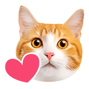 อิโมจิไลน์ Orange tabby cats Face Emoji