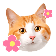 อิโมจิไลน์ Orange tabby cats Face Emoji