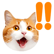 อิโมจิไลน์ Orange tabby cats Face Emoji