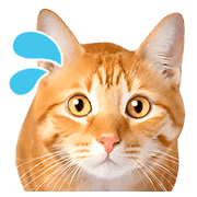 อิโมจิไลน์ Orange tabby cats Face Emoji