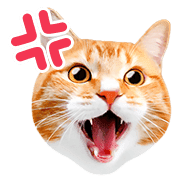 อิโมจิไลน์ Orange tabby cats Face Emoji