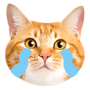 อิโมจิไลน์ Orange tabby cats Face Emoji