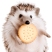 อิโมจิไลน์ foodie Hedgehog Emoji