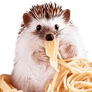 อิโมจิไลน์ foodie Hedgehog Emoji