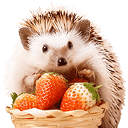 อิโมจิไลน์ foodie Hedgehog Emoji