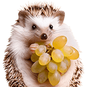 อิโมจิไลน์ foodie Hedgehog Emoji