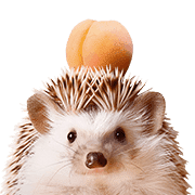 อิโมจิไลน์ foodie Hedgehog Emoji