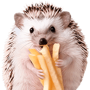 อิโมจิไลน์ foodie Hedgehog Emoji