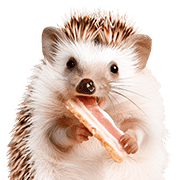 อิโมจิไลน์ foodie Hedgehog Emoji