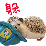 อิโมจิไลน์ Araw-araw na Cute Healing Hedgehog-38