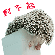 อิโมจิไลน์ Araw-araw na Cute Healing Hedgehog-38