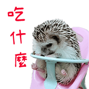 อิโมจิไลน์ Araw-araw na Cute Healing Hedgehog-38