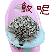 อิโมจิไลน์ Araw-araw na Cute Healing Hedgehog-38