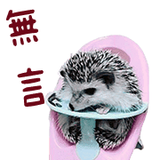 อิโมจิไลน์ Araw-araw na Cute Healing Hedgehog-38