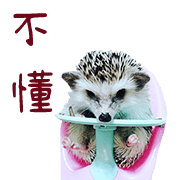 อิโมจิไลน์ Araw-araw na Cute Healing Hedgehog-38