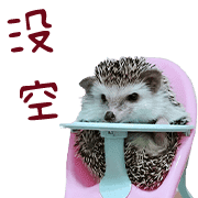 อิโมจิไลน์ Araw-araw na Cute Healing Hedgehog-38