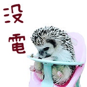 อิโมจิไลน์ Araw-araw na Cute Healing Hedgehog-38