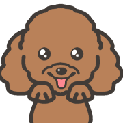 อิโมจิไลน์ A Smiling brown toy poodle