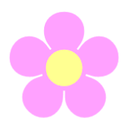 029