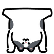 010