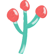 006