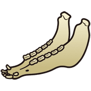 040