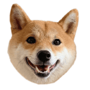 อิโมจิไลน์ Mame of a Shiba dog-emoji-