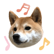 อิโมจิไลน์ Mame of a Shiba dog-emoji-