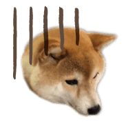 อิโมจิไลน์ Mame of a Shiba dog-emoji-