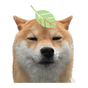 อิโมจิไลน์ Mame of a Shiba dog-emoji-