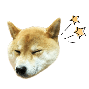 อิโมจิไลน์ Mame of a Shiba dog-emoji-