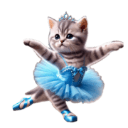 อิโมจิไลน์ American Shorthair Kitten Ballerina