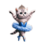 อิโมจิไลน์ American Shorthair Kitten Ballerina