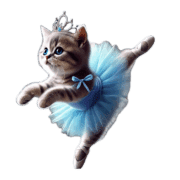 อิโมจิไลน์ American Shorthair Kitten Ballerina