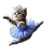 อิโมจิไลน์ American Shorthair Kitten Ballerina