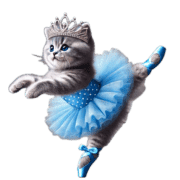 อิโมจิไลน์ American Shorthair Kitten Ballerina