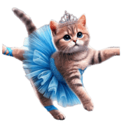 อิโมจิไลน์ American Shorthair Kitten Ballerina