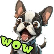 อิโมจิไลน์ Boston Terrier Emoji for every day