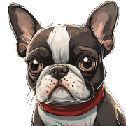 อิโมจิไลน์ Boston Terrier Emoji for every day