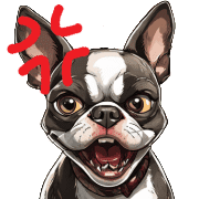 อิโมจิไลน์ Boston Terrier Emoji for every day