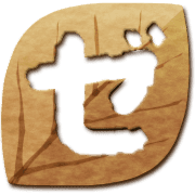 144
