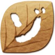 145