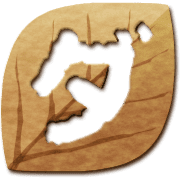 146