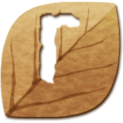 254