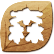 276