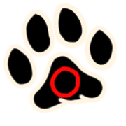 อิโมจิไลน์ Simple, adults can use it too! Paw Emoji